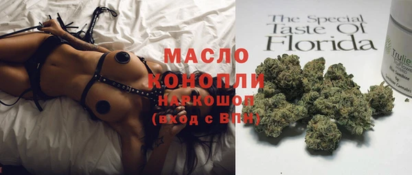 шишки Верхний Тагил