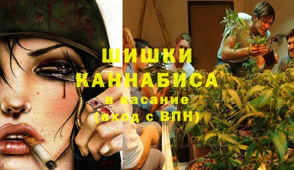не бодяженный Няндома