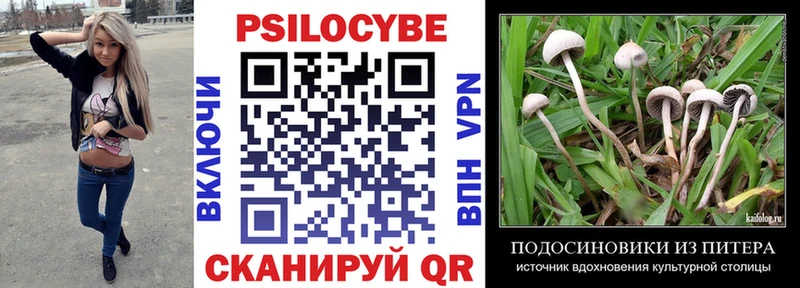 Купить  Лысково  Псилоцибиновые грибы MAGIC MUSHROOMS 
